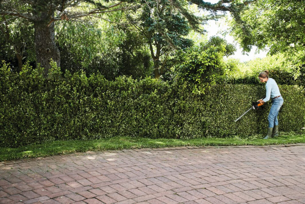 STIHL HSA 50.0 SET ACCU-HEGGENSCHAAR, 500MM/20"