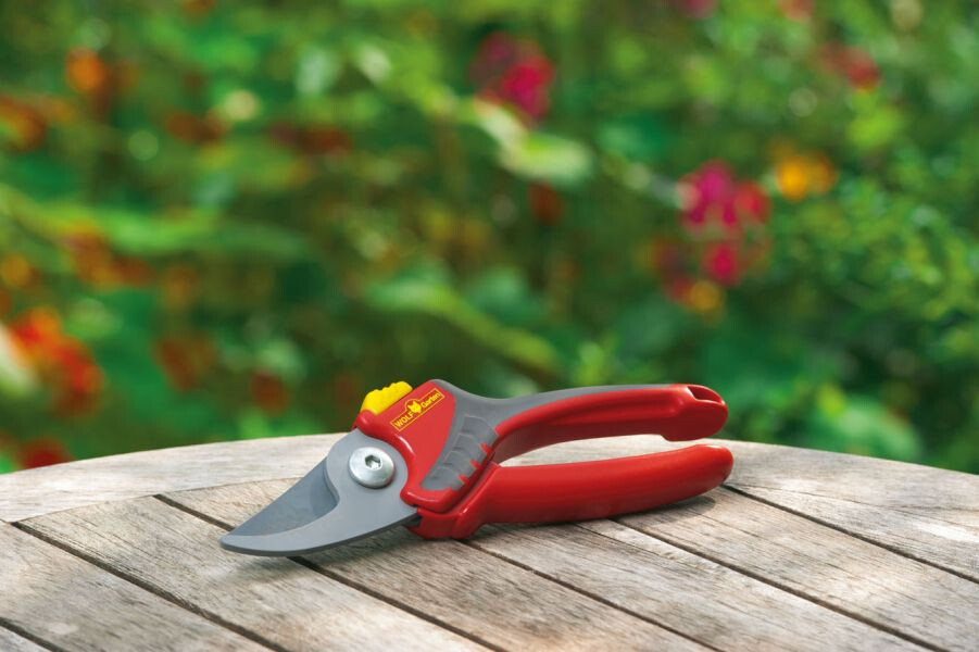 WOLF SNOEISCHAAR RR 2500