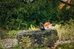 STIHL HSA 100.0 ACCU-HEGGENSCHAAR, 600MM/24"