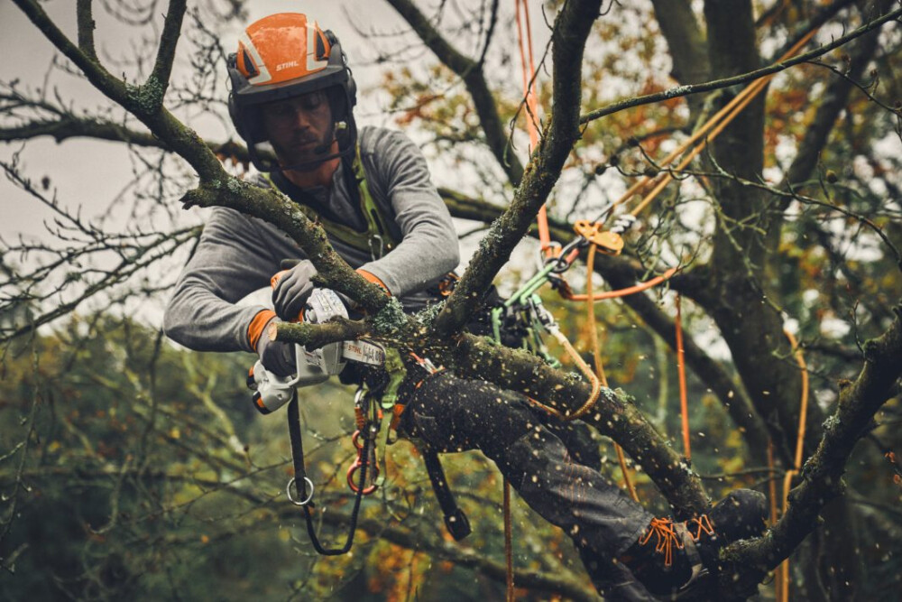 STIHL GTA 40 ACCU SNOEIZAAG SET INCL 2 ACCU'S EN LADER